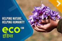 Helping Nature, Helping Humanity