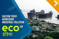 Caution Toxic! Addressing Industrial Pollution