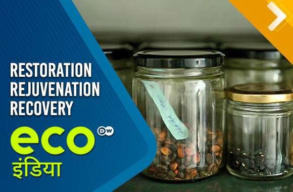 Restoration, Rejuvenation, Recovery