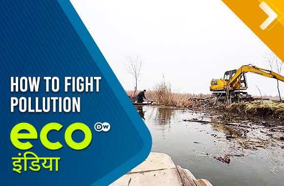 How To Fight Pollution