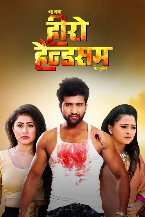 Aa Gaya Hero Handsome Bhojpuriya