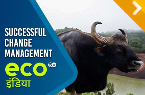 Successful Change Management