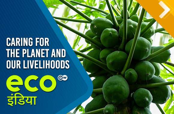 Caring For The Planet And Our Livelihoods