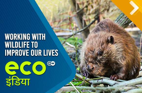 Working With Wildlife To Improve Our Lives