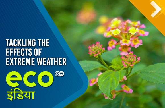 Tackling The Effects Of Extreme Weather