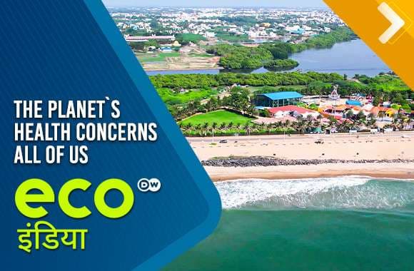 The Planet`s Health Concerns All Of Us