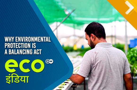 Why Environmental Protection Is A Balancing Act