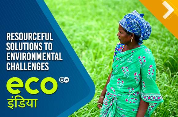 Resourceful Solutions To Environmental Challenges