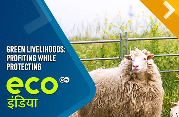 Green Livelihoods: Profiting While Protecting