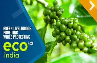 Green Livelihoods: Profiting While Protecting