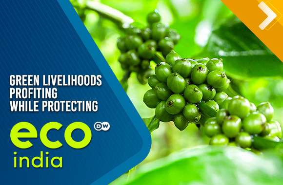 Green Livelihoods: Profiting While Protecting