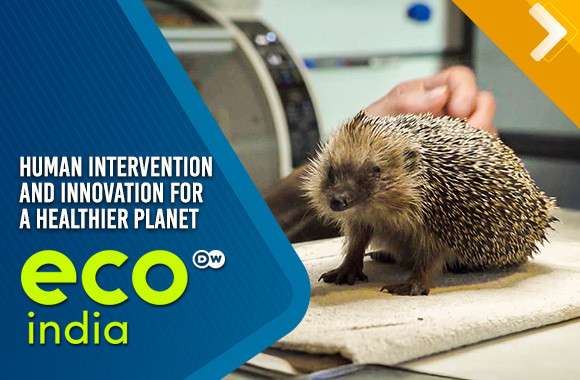 Human Intervention And Innovation For A Healthier Planet