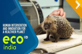 Human Intervention And Innovation For A Healthier Planet