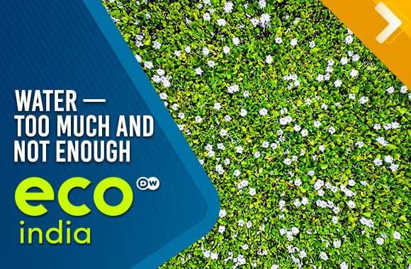 Water — Too Much And Not Enough