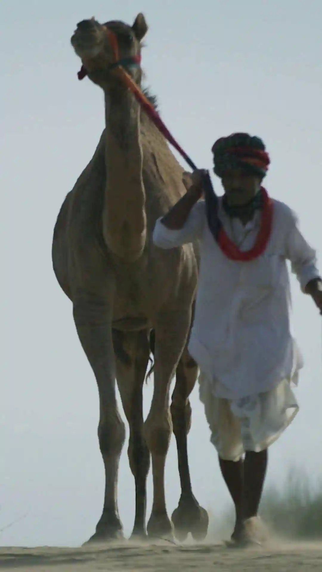 E1.1 Bikaner - Kahani Bikaner Ki