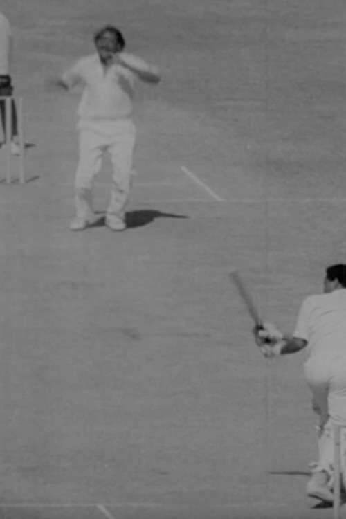 E4.16 Indian Spinner - New Era Of Jumbo