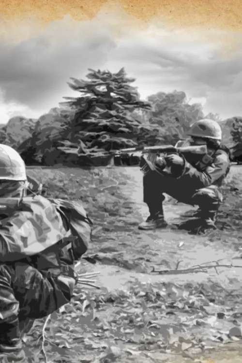 E3.9 Grenadiers - Operation Vijay Part 02