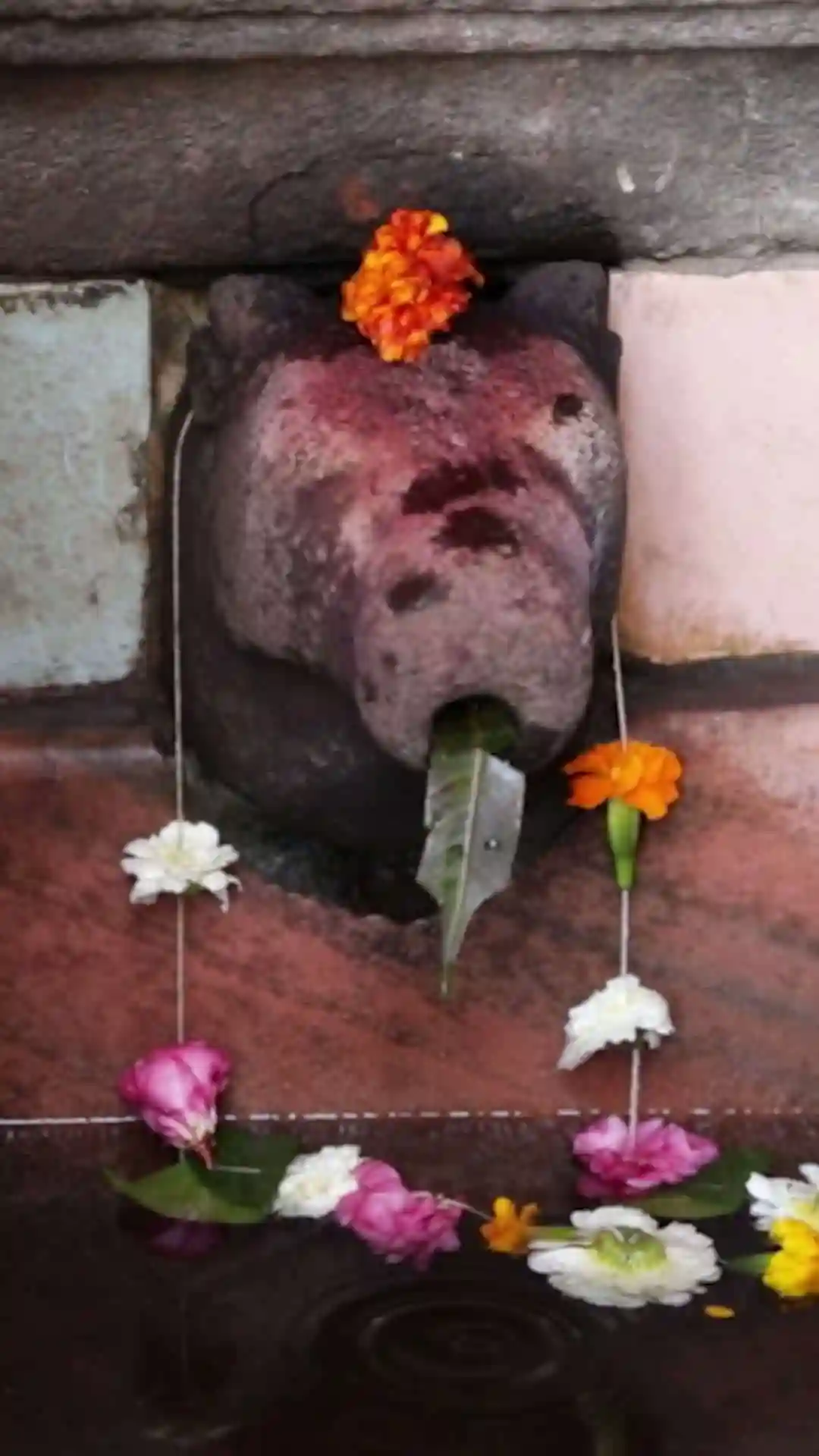 E14.7 Godavari Ka Safar.mp4